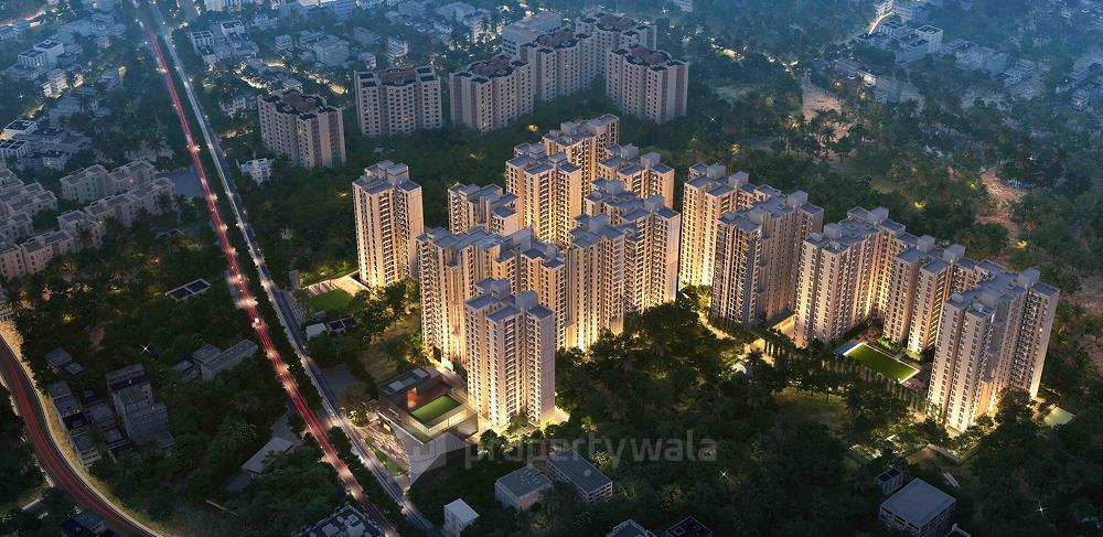 Night View