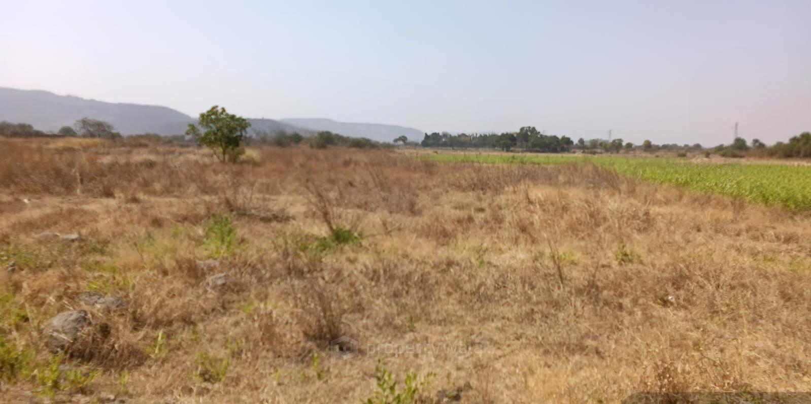 plot view