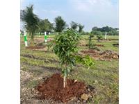 Agricultural Plot / Land for sale in Avadi, Chennai