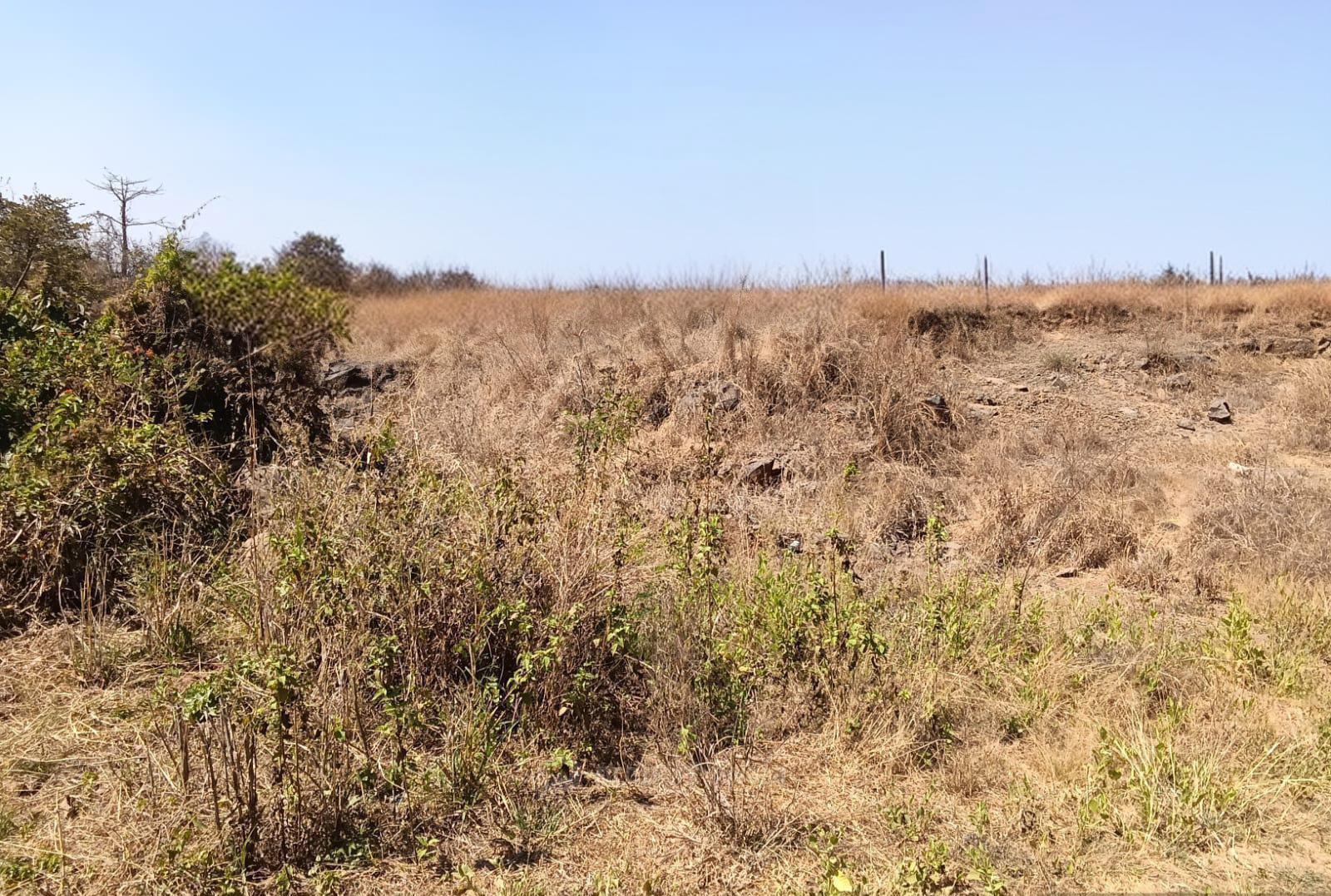 Plot view