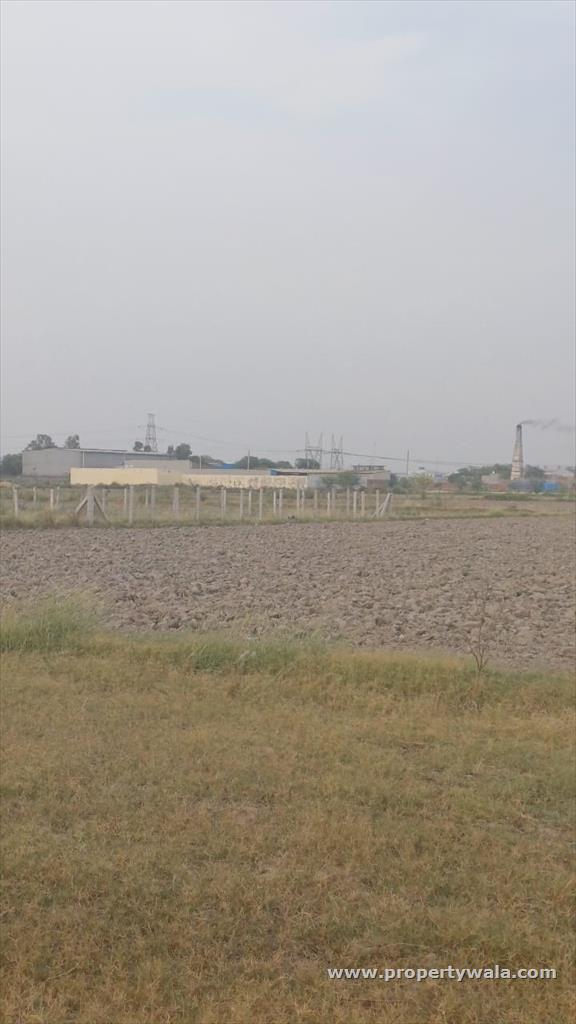 road view