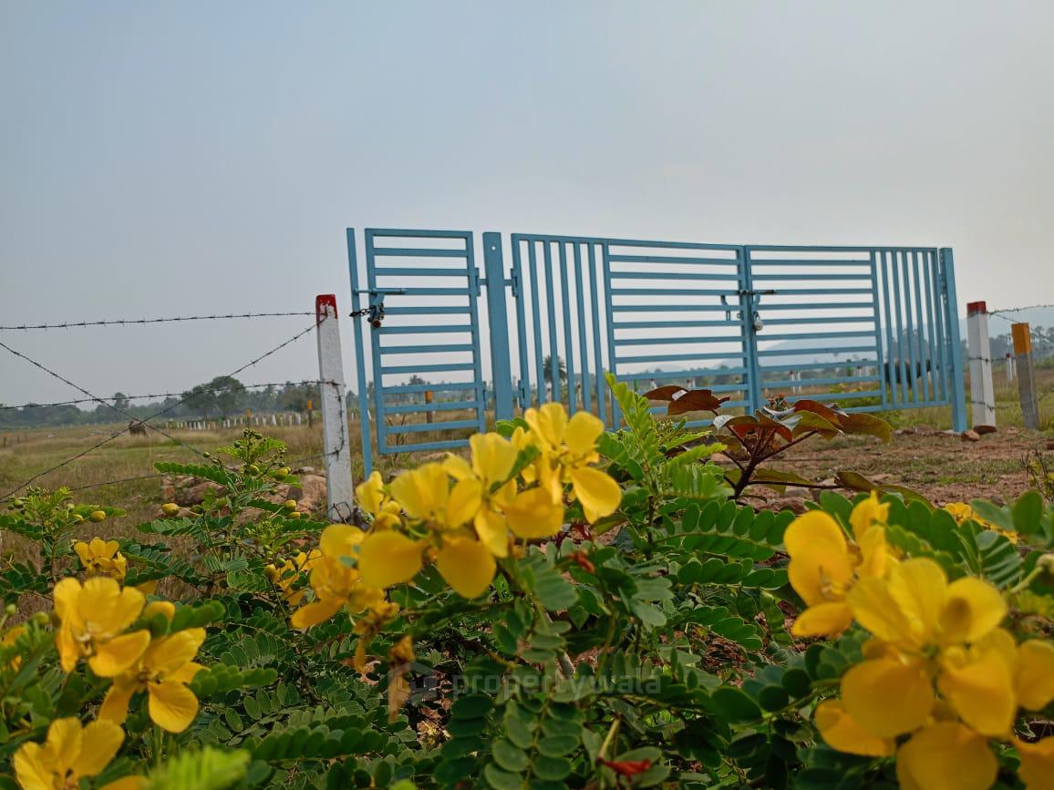 Surroundings