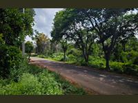 Agri Land for sale in Kanakapura Road area, Bangalore