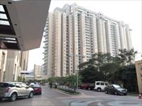 Ready to move Apartment in DLF The Magnolias