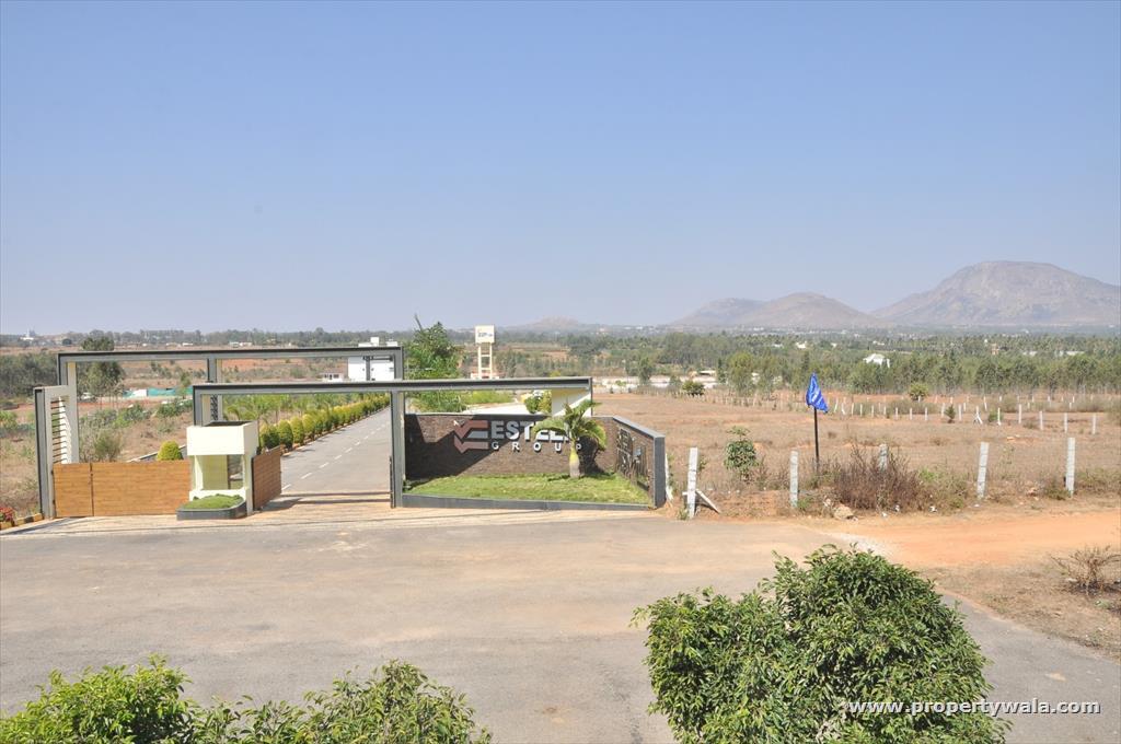 Main Entrance