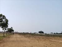 site view