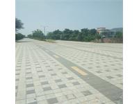 Inside Road View