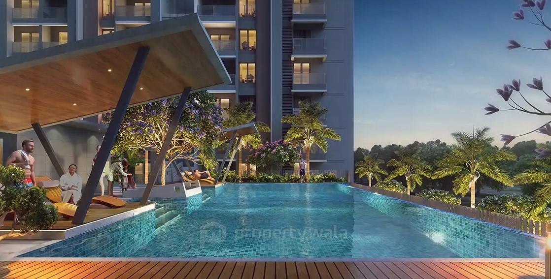 Project - Swimming Pool