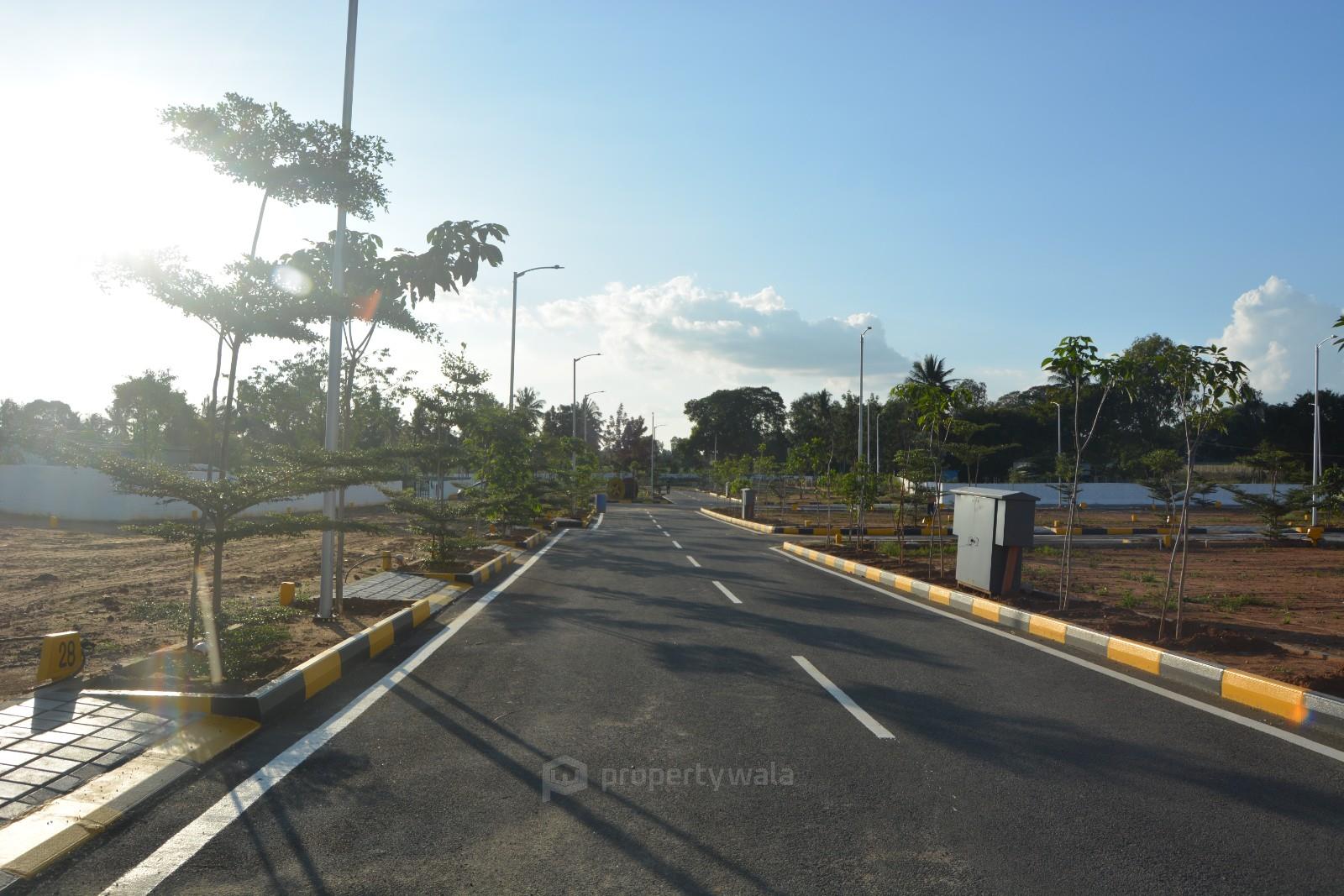plot view