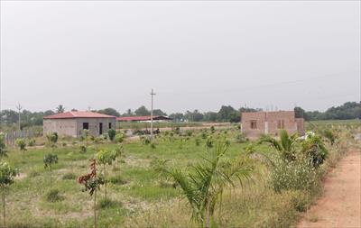 1 Bedroom Farm House for sale in Alair, Hyderabad