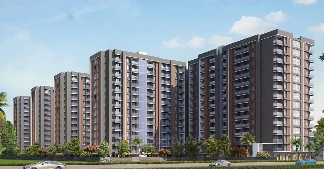 Project - Elevation