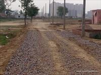Agri Land for sale in Sri Sai Ram Puram, Bhopani Village, Faridabad