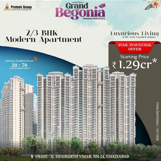 Prateek Grand Begonia