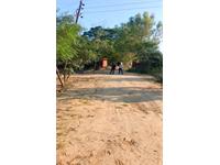 Residential Plot / Land for sale in Manjhawali Village, Faridabad