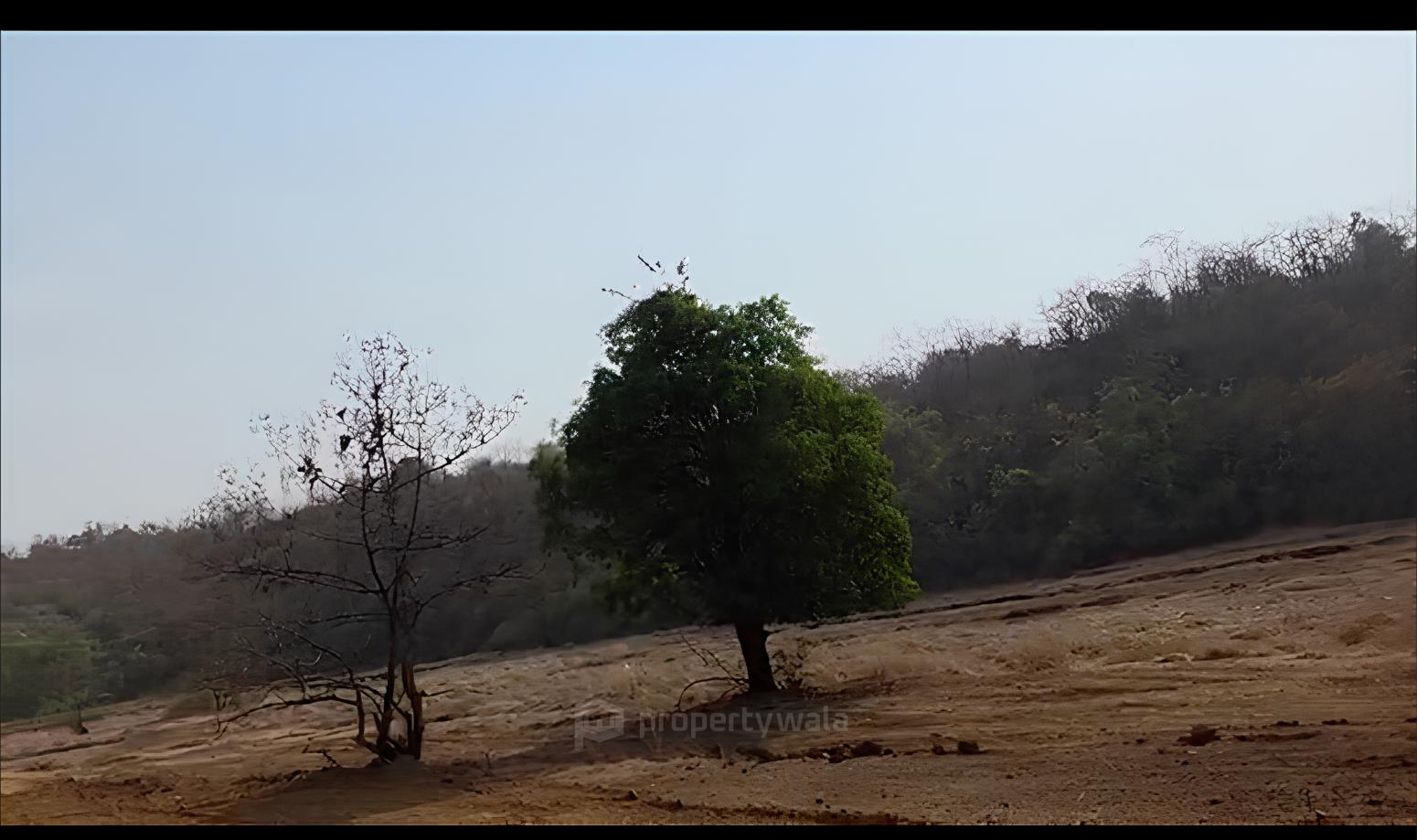 location view