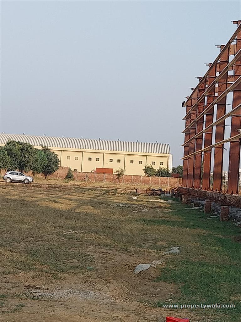 Side View