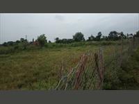 TRIBAL LAND has to be sold Mahasamund - Bagbahra NH-353 road has 4.5 acres