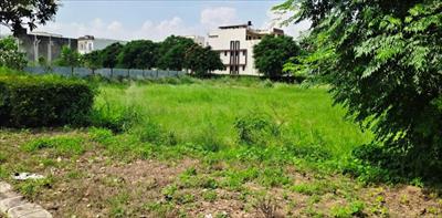 Land for sale in Omaxe Plots, Mullanpur Garibdass, New Chandigarh