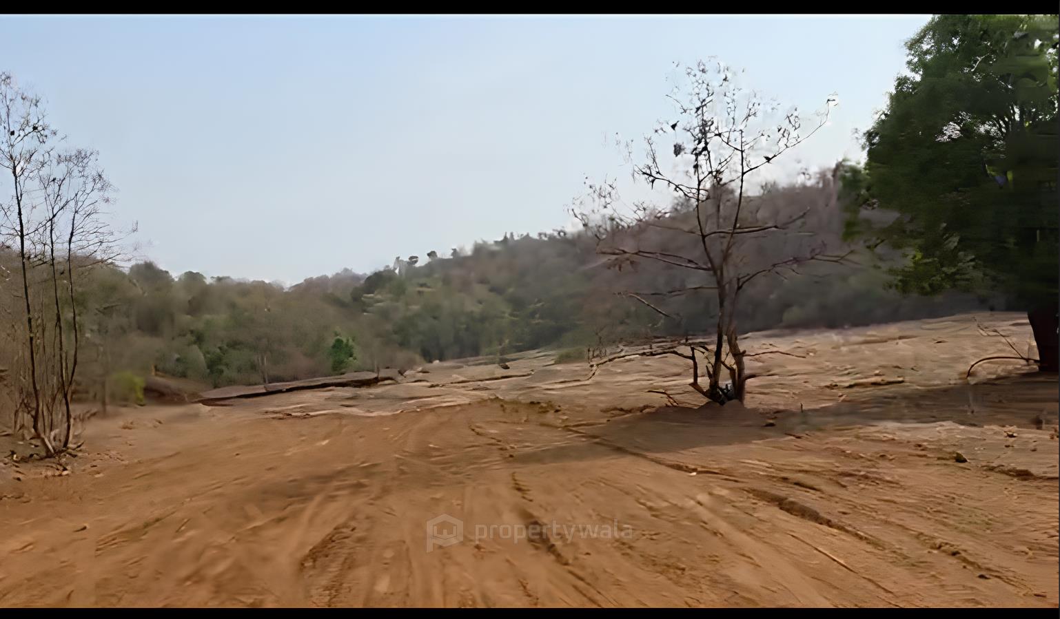 location view