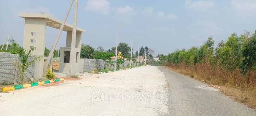 Road View