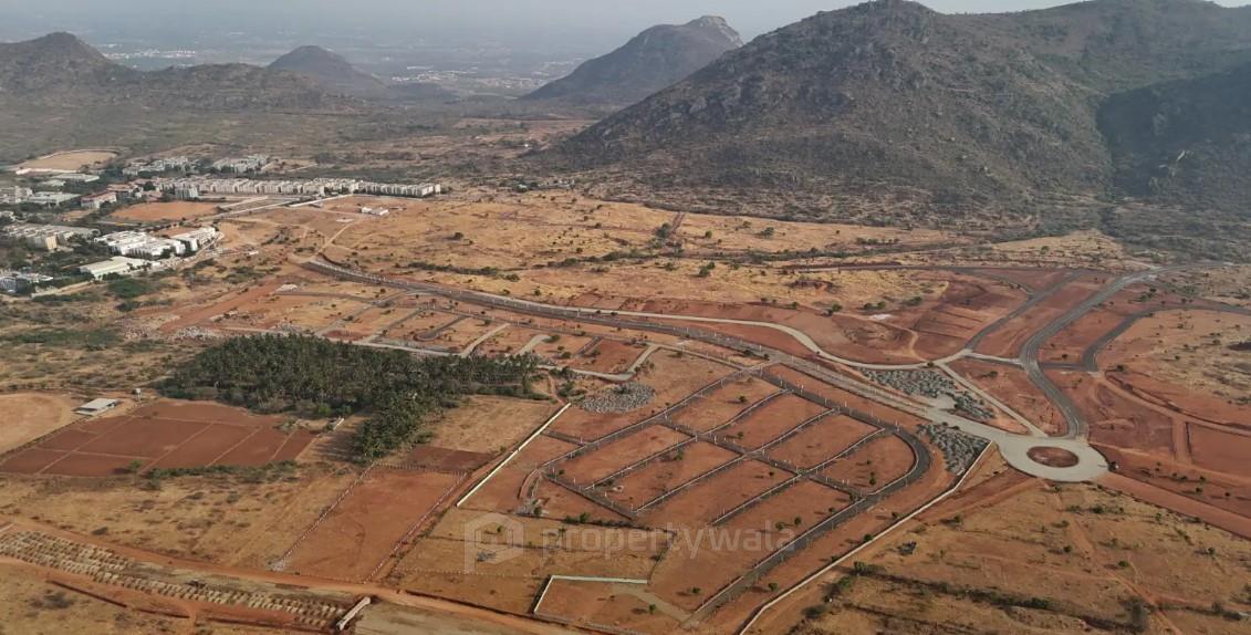 Plot View