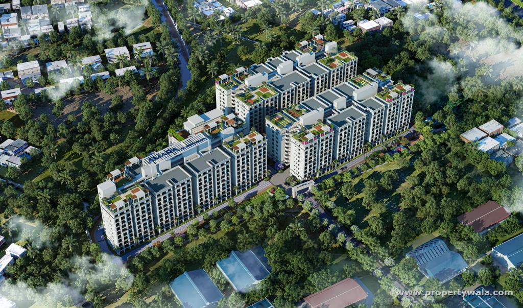 Project - Aerial View