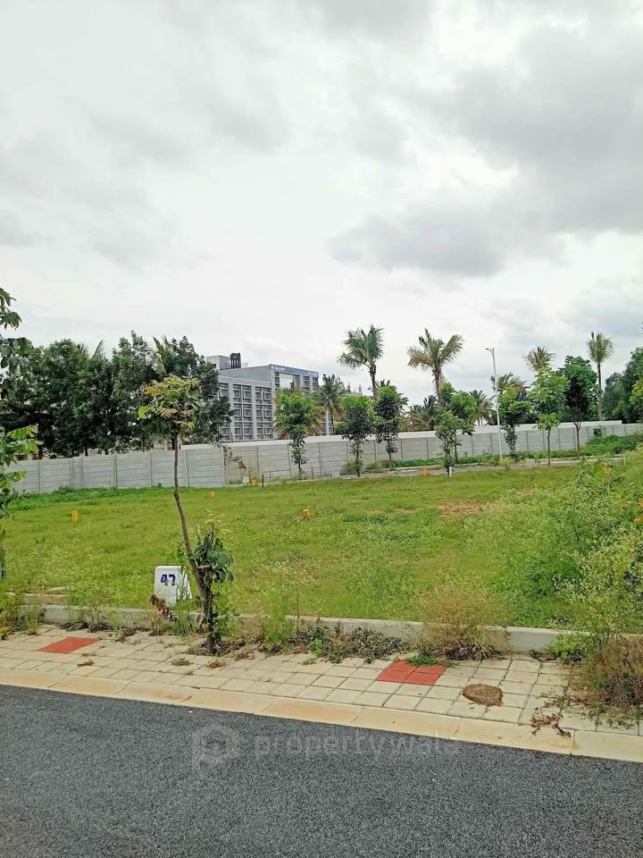 Plot