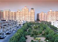 3 Bedroom House for rent in DLF Exclusive Floors, DLF City Phase V, Gurgaon