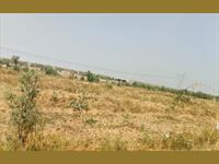 Commercial Plot / Land for sale in Jagatpura, Jaipur