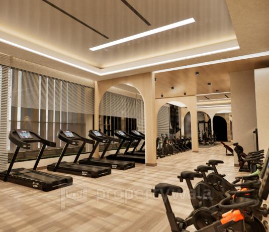 Gymnasium