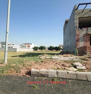 Residential Land for sale in Sector 77, Mohali