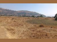 Agricultural plot in Dahivali