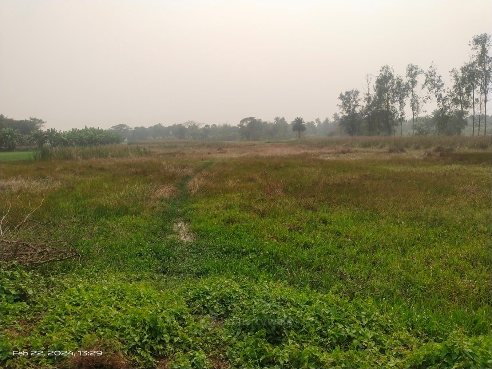 plot view