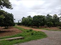 Residential plot for sale in Visakhapatnam