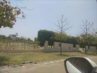 Residential plot for sale in Mohali