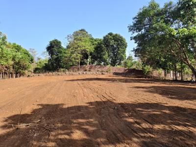 Agricultural Land for sale in Mangaon, Raigad