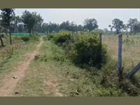 Agricultural Plot / Land for sale in Mysore Road area, Bangalore