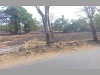 Agricultural Plot / Land for sale in Kihim, Alibag