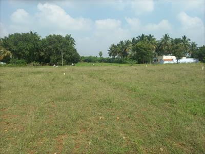 Industrial Land for sale in Arasur, Coimbatore