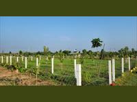Agricultural Plot / Land for sale in Achurapakkam, Chennai