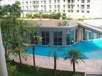 4Bhk fully furnished flat with Deck