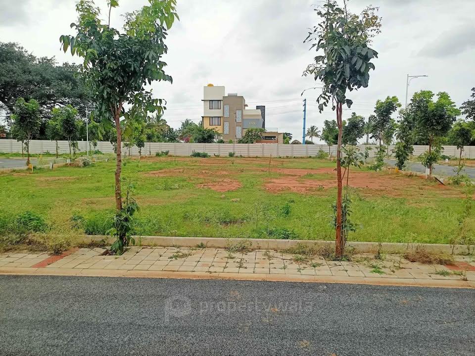Plot