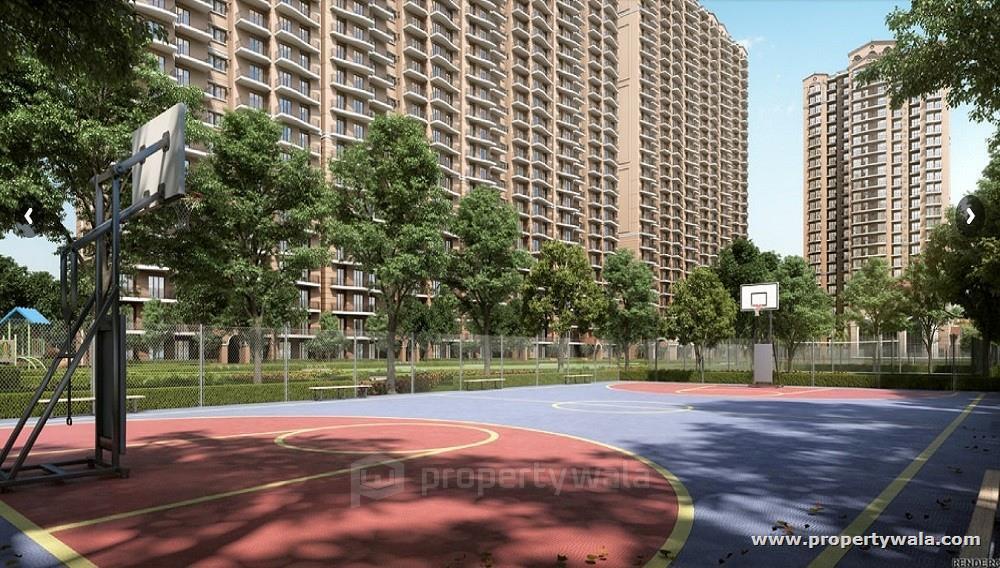 Basket Ball Court