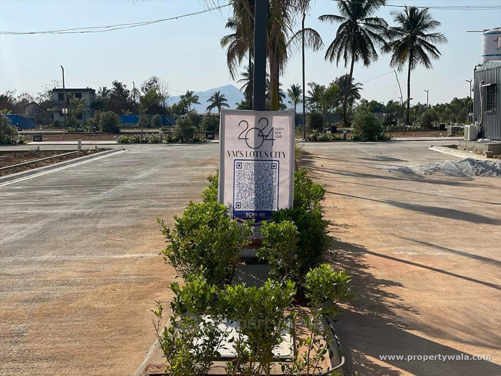 Plot View