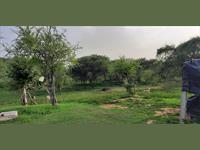 Agricultural Plot / Land for sale in Kalwar, Jaipur