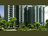 4 Bedroom apartment for Sale in Sector-111, Gurgaon