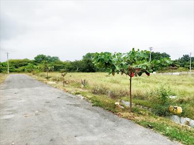 Residential Land for sale in Bagepalli, Chikkaballapur