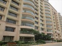 4 Bedroom Flat for rent in Ambience Caitriona, DLF City Phase III, Gurgaon