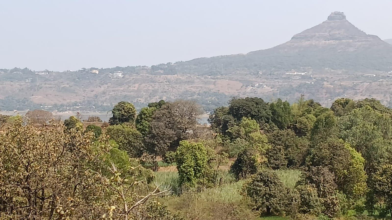 plot view
