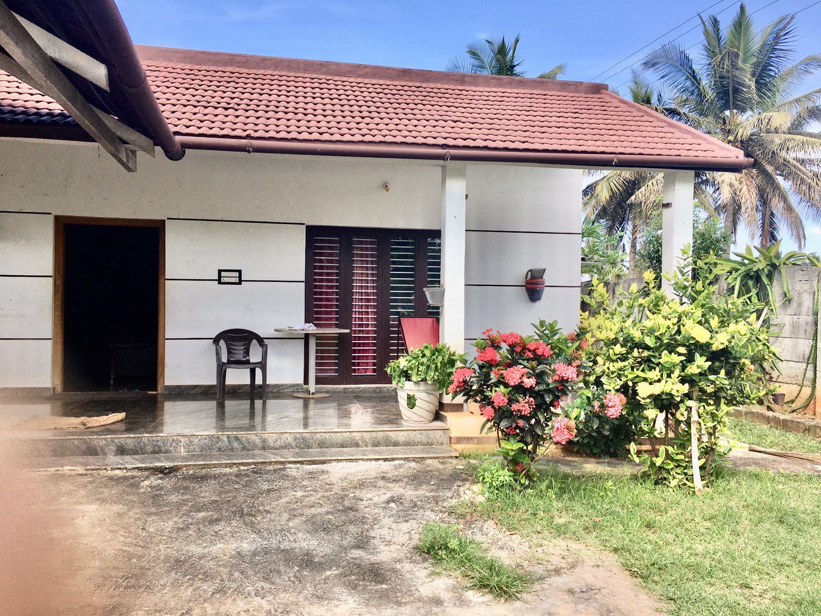 Front View